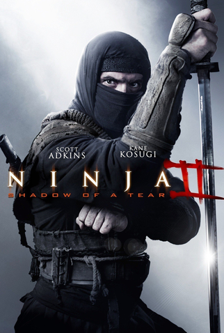 Poster 2 de Filme Ninja 2: A Vingança (2013)