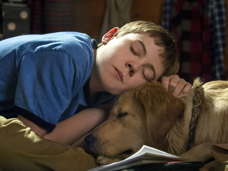 Foto 1 de Natal Feliz