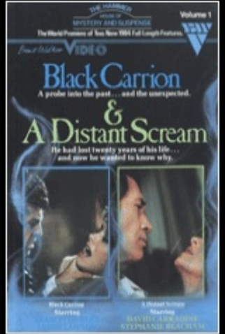 Poster 1 de Filme A Distant Scream (1984)