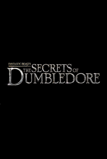 Animais Fantásticos: Os Segredos de Dumbledore - Poster / Capa / Cartaz - Oficial 11