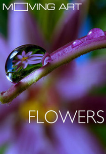 Moving Art: Flores (Moving Art: Flowers)
