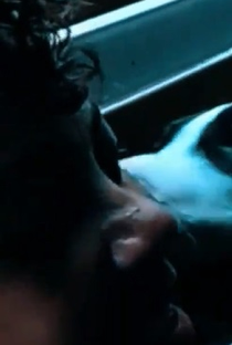 Mirian Martins - Poster 1