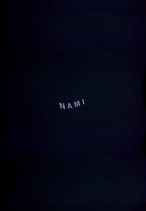 Nami (Nami)