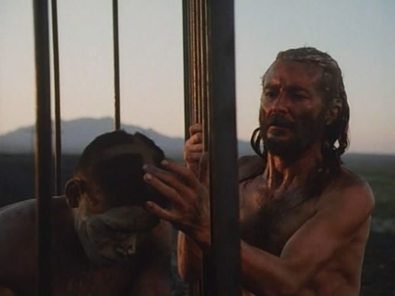 Foto 2 de Cabeza de Vaca