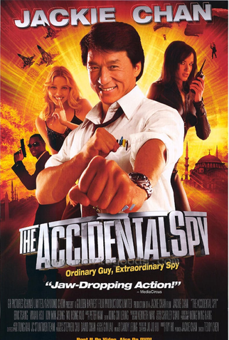 Poster 8 de Filme Espião por Acidente (2001)