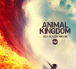 Animal Kingdom (4ª Temporada)