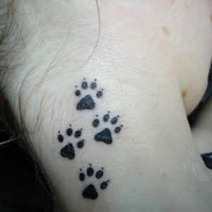 Foto de perfil de Jake Michelson