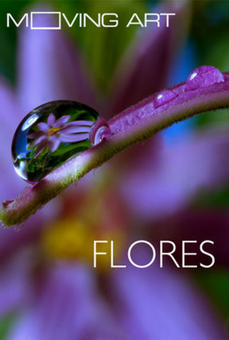 Poster 2 de Curta Moving Art: Flores (2014)