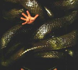 Anaconda 2: A Caçada pela Orquídea Sangrenta