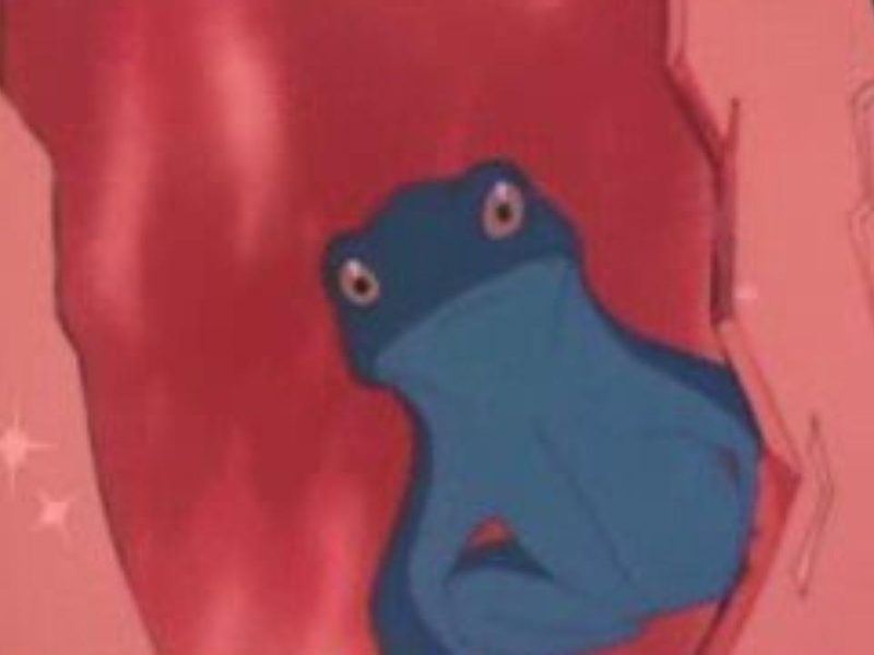 Foto 5 de A princesa sapo