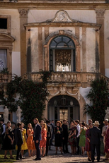  Rosa Excelsa (Rosa Excelsa)