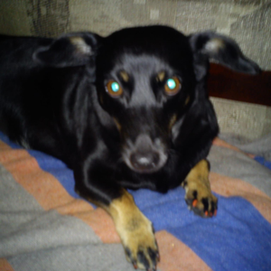 Foto de perfil de @VeronicaSkandar