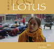 Lost Lotus