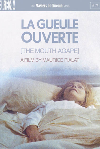 Poster 1 de Filme A Ferida Aberta (1974)