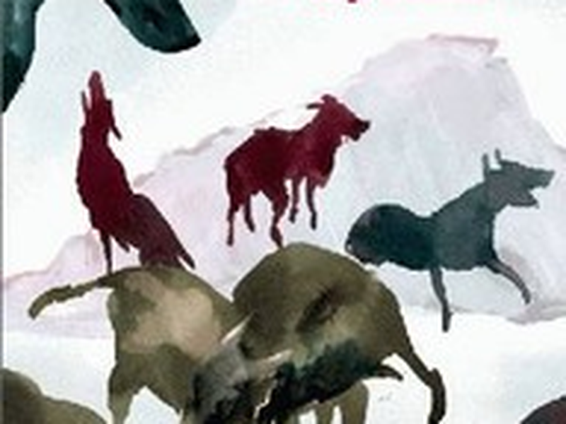 Foto 1 de Cães Ilhados