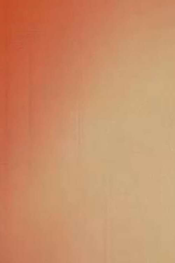 Poster de Curta Light Licks: Daily Camera (2011)