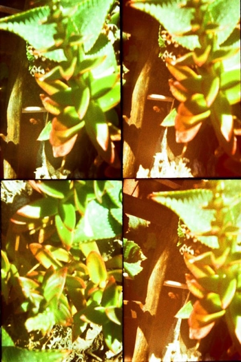 Poster de Filme Jardines (2012)