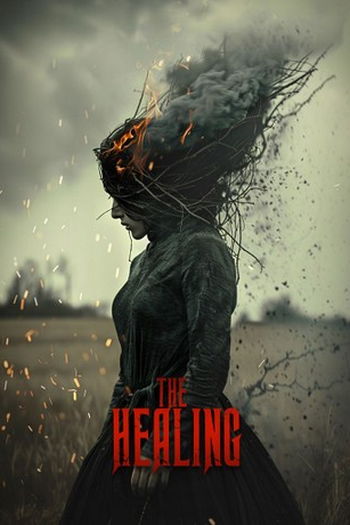 Poster de Filme The Healing (2025)