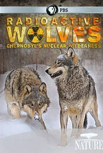 Radioactive Wolves of Chernobyl - Poster / Capa / Cartaz - Oficial 1