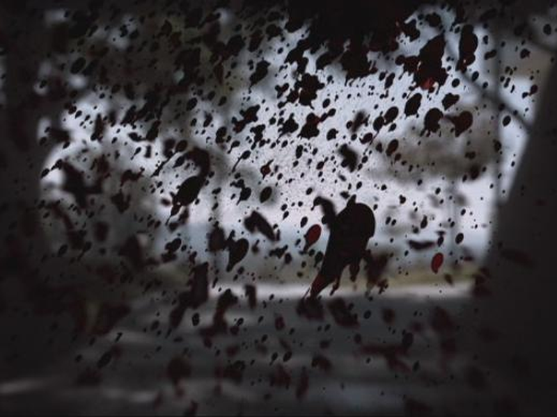 Foto 3 de Kill Katie Malone