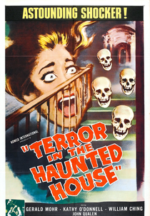 Terror In The Haunted House (My World Dies Screaming)