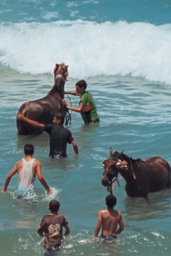 Poster de Curta Electrical Gaza (2015)