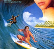 Surf no Hawaí