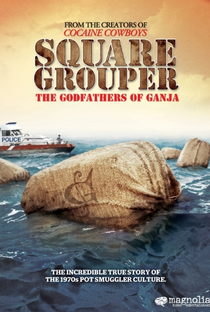 Square Grouper - Poster / Capa / Cartaz - Oficial 1