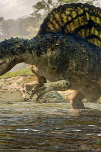 Poster de Episódio Lost World (2011)