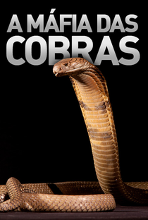 A Máfia das Cobras - Poster / Capa / Cartaz - Oficial 1