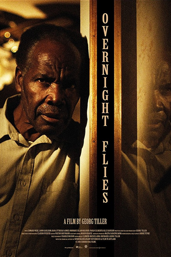 Poster de Filme Moscas Noturnas (2016)