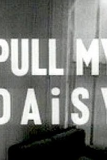 Pull My Daisy - Poster / Capa / Cartaz - Oficial 2