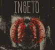 Inseto