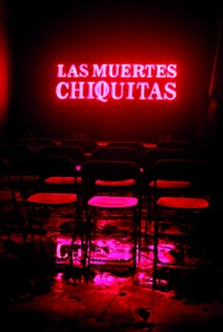 Poster 1 de Filme Las Muertes Chiquitas (2009)