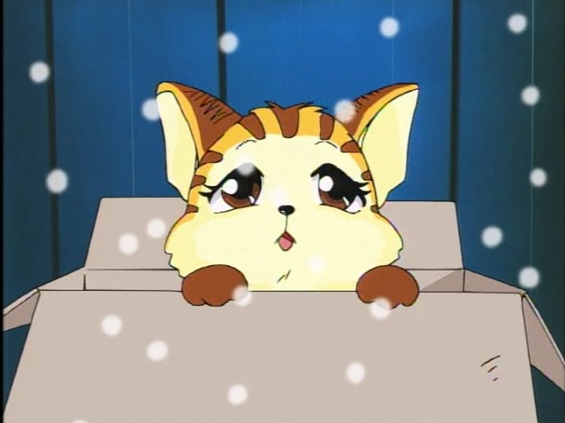 Foto 4 de Torajima no Miime