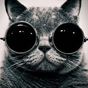 Foto de perfil de Felipe