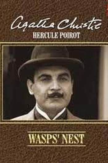 Poster de Filme A Casa dos Marimbondos (1991)