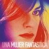 Uma mulher fantástica (2017) - Um teste para seu preconceito - Crítica