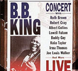 B.B King - Blues Summit Concert