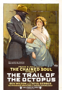 O Rastro do Polvo (The Trail of the Octopus)