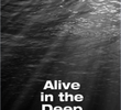 Alive in the Deep