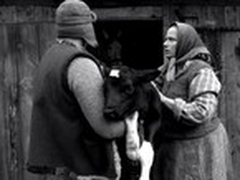 Foto 1 de Konopielka