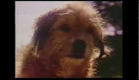 Benji The Hunted 1987 Trailer VHS Rip