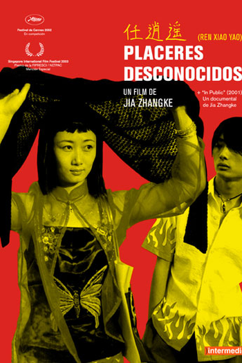 Poster de Filme Prazeres Desconhecidos (2002)