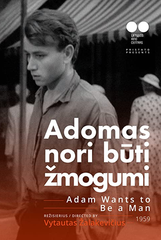Poster 1 de Filme Adão Quer Ser Um Homem (1959)