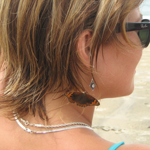 Foto de perfil de Priscila Reinbrecht Rodrigues