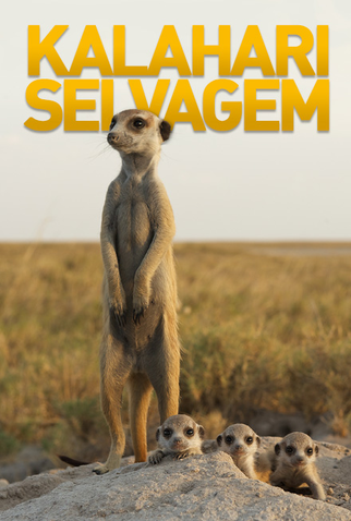 Poster 1 de Série Kalahari Selvagem (2014)