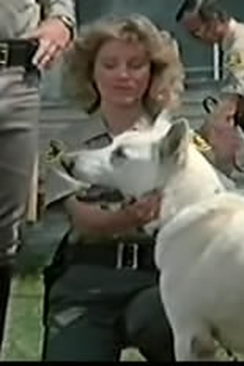 Poster de Episódio K-9-1 (1982)