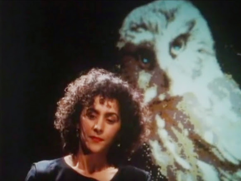 Foto 6 de O Legado da Coruja