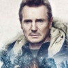 Liam Neeson pede desculpa por comentário racista